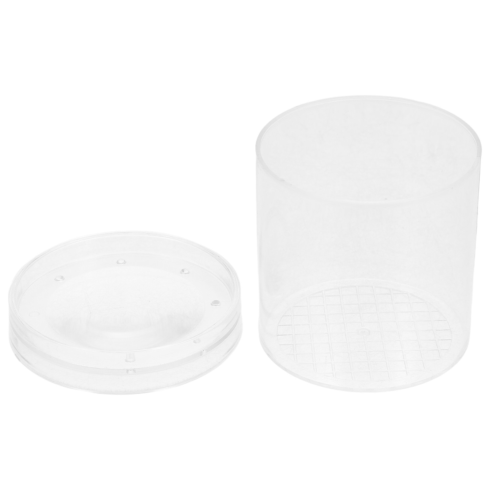 Kids Education Tools - Caja de Observación de Insectos con