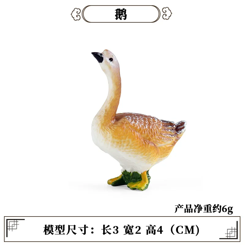 Kids Education Tools - Herramienta de enseñanza educativa para aves