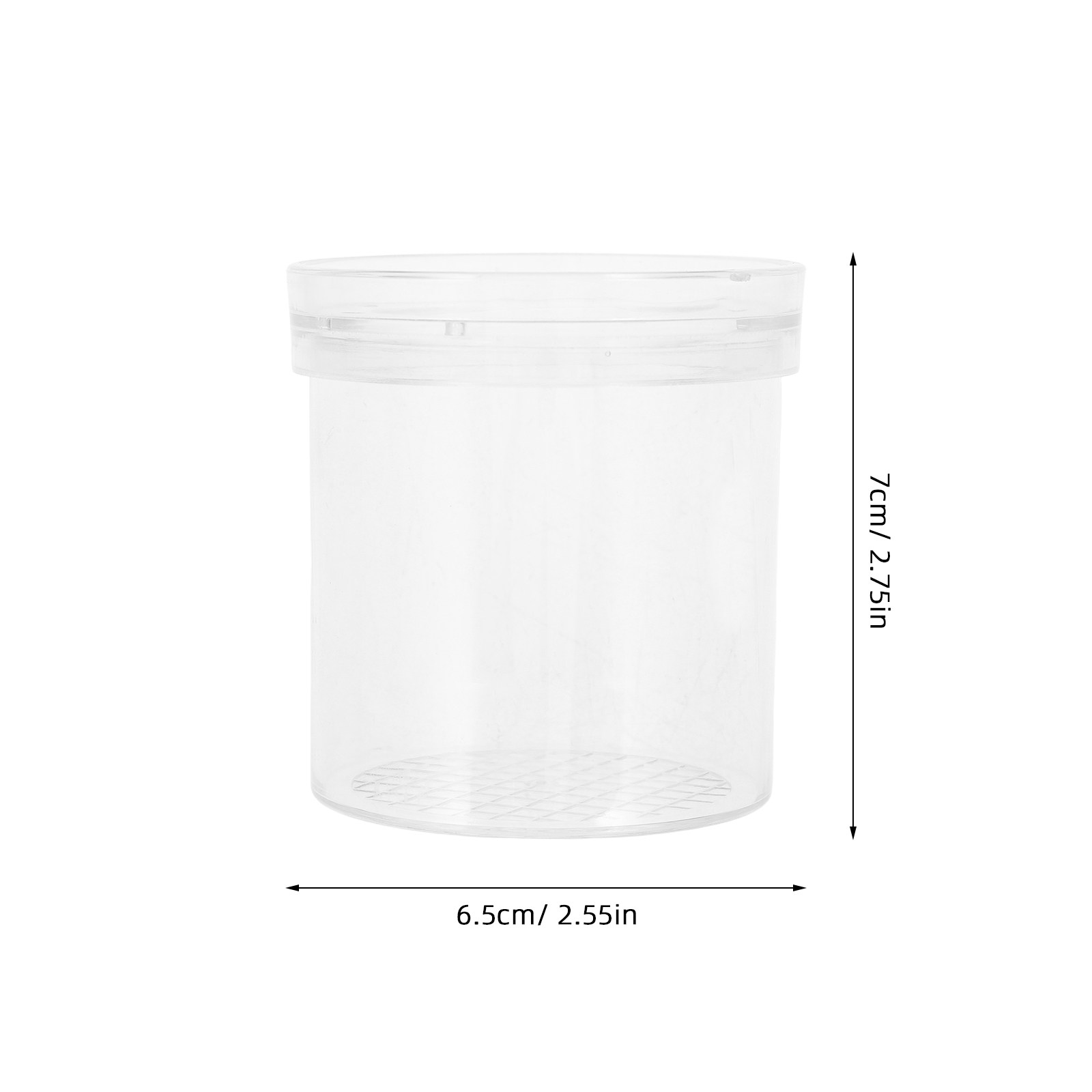 Caja de Observación de Insecto - Kids Education Tools reseña y precio